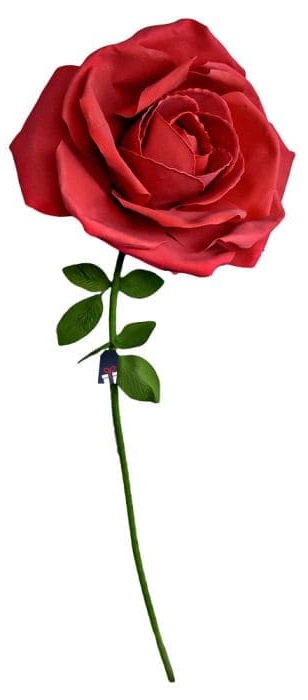 XXL ardaigh ollmhór - Roses mar bhronntanas do bhean